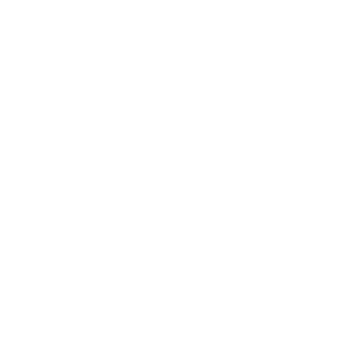 ballego 500
