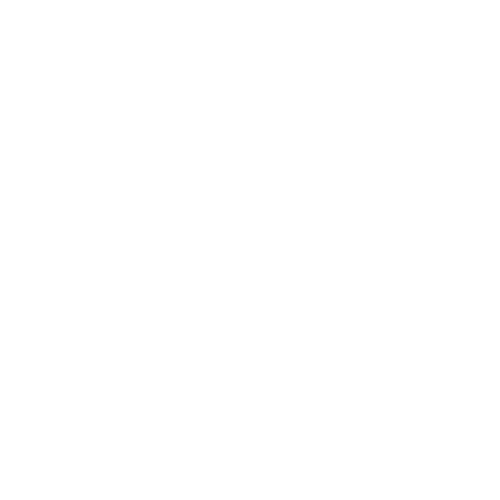 epitome
